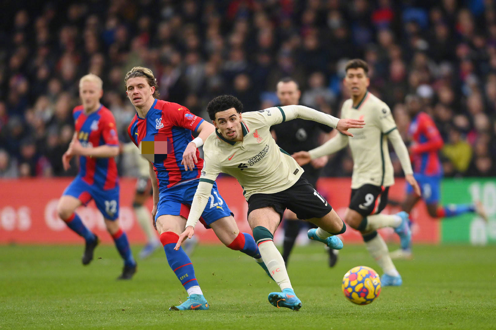 许昕和刘诗 许昕和刘诗